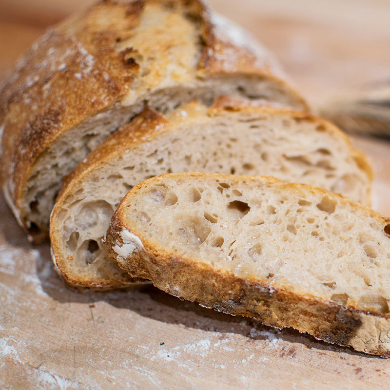 TP_0120_SourdoughBreadMakingClass.jpg